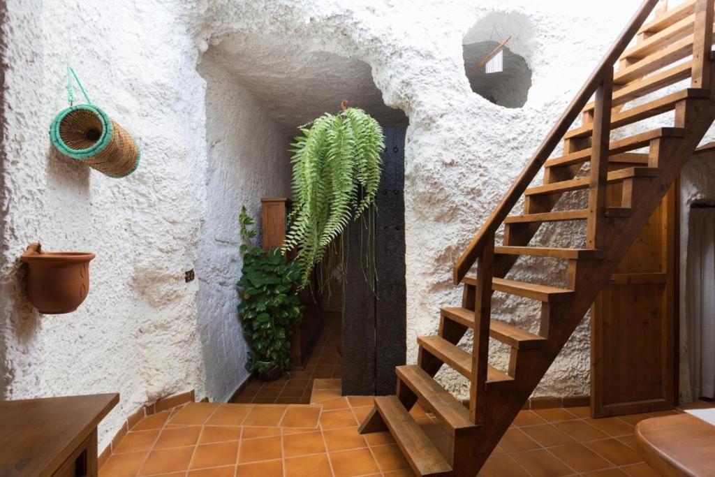 Live Socorro Cave Villa Güimar Екстериор снимка